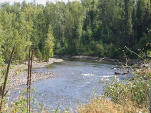 Horsefly River